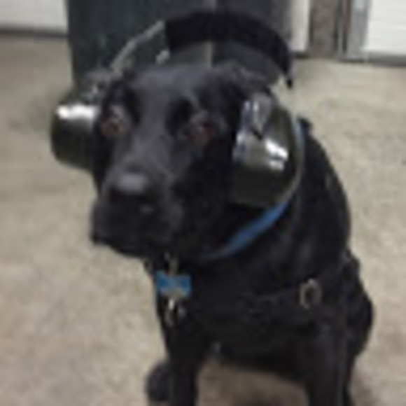 Meet your Posher, Katelyn - Picture 1 of 1